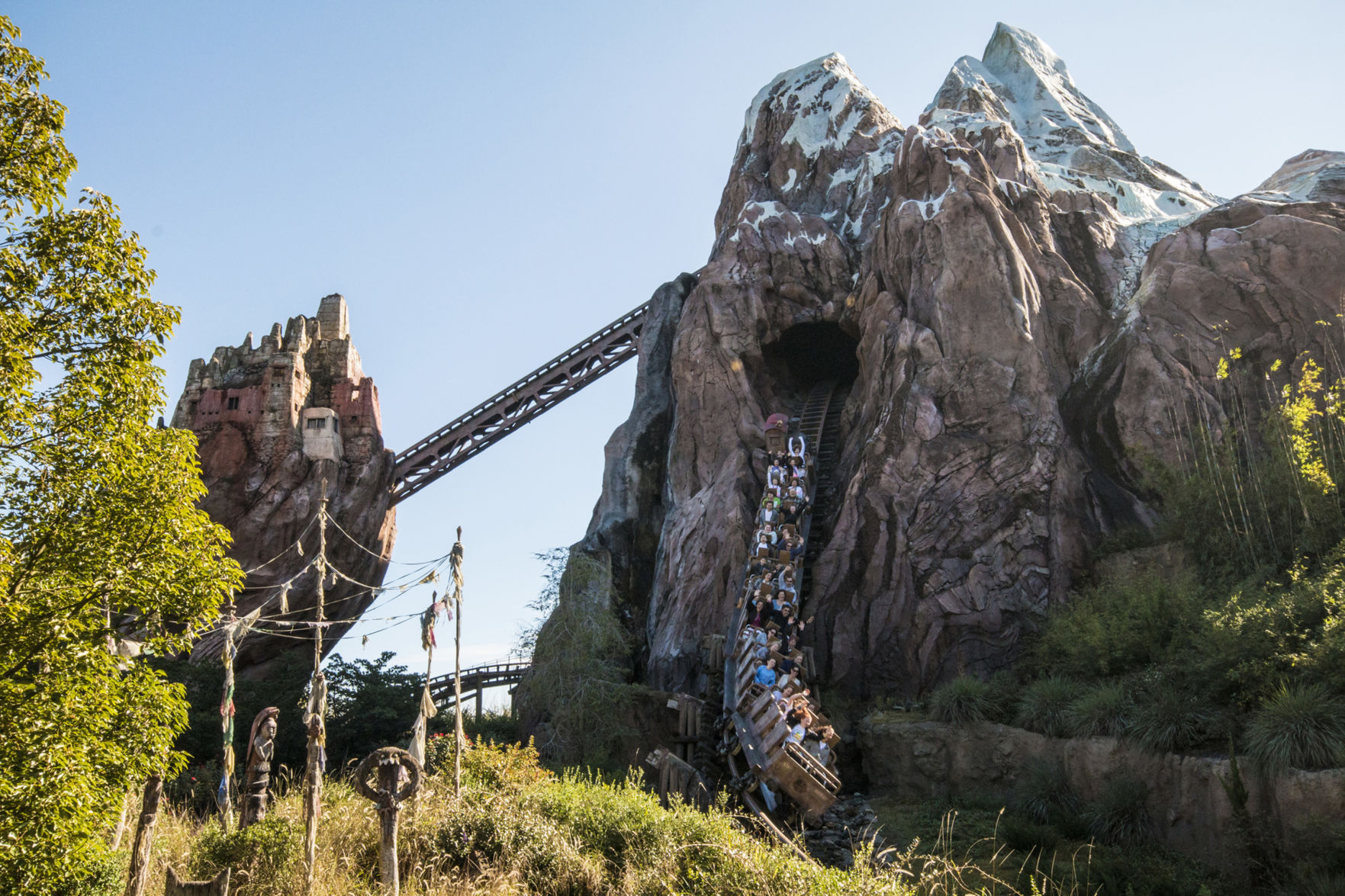 5. Real vs. roller coaster